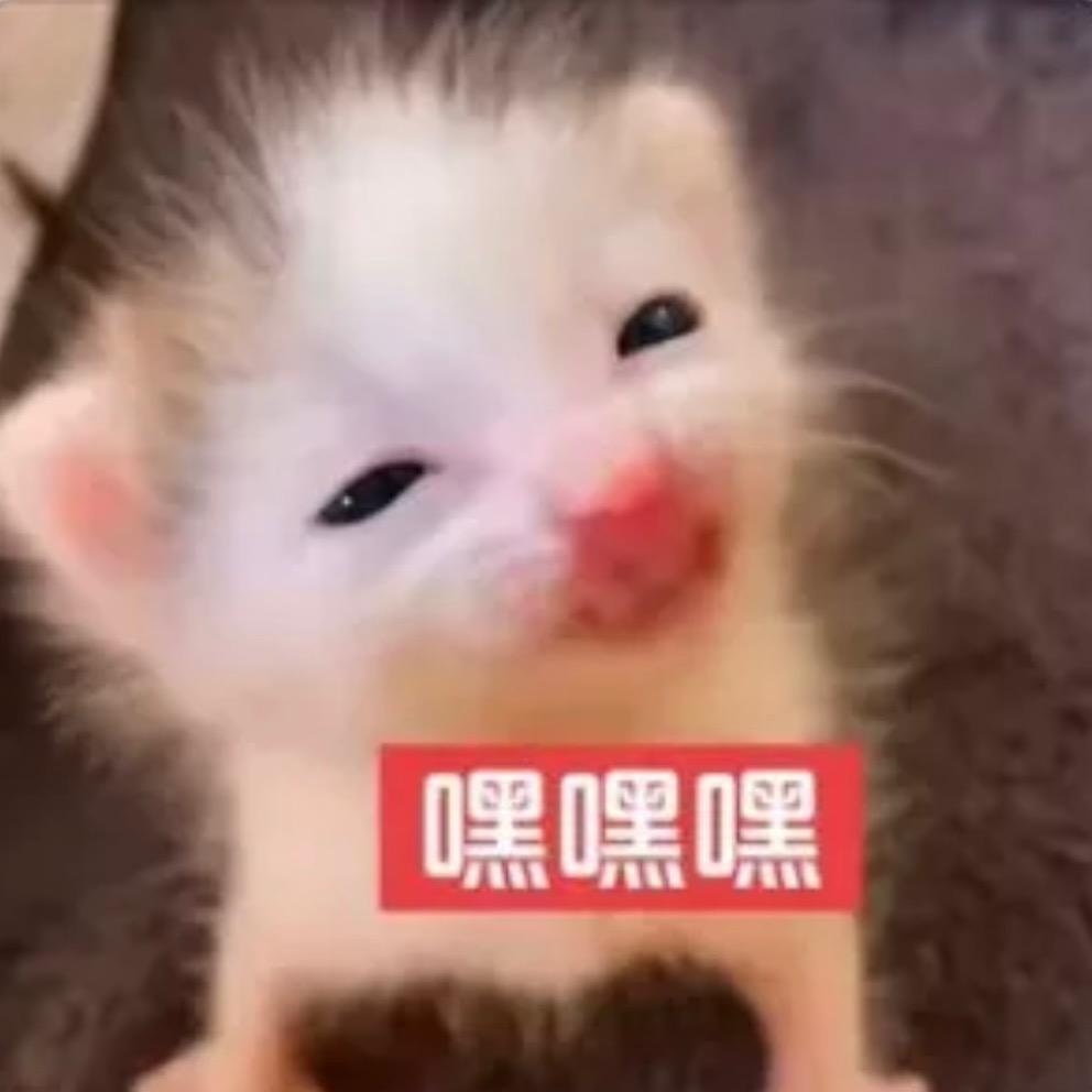 _卖萌'被打掉一颗牙.