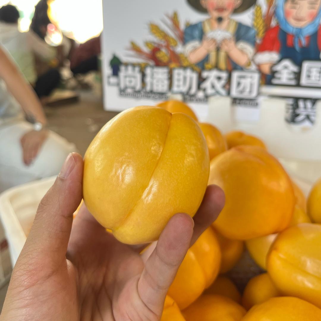 光鲜生农场