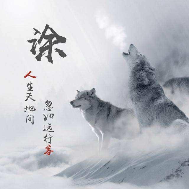 狼归来