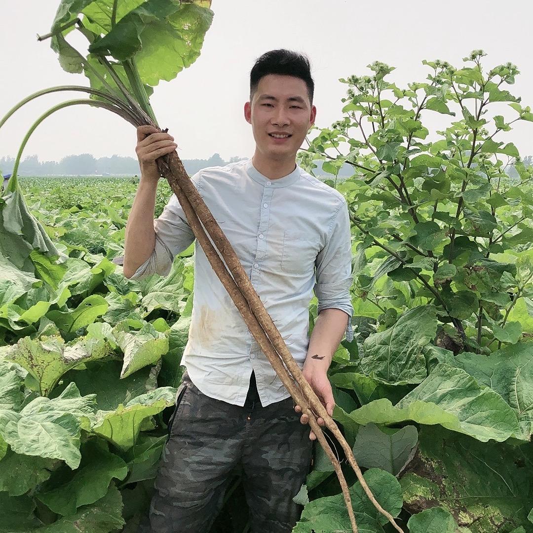 大盛植物说@抖音