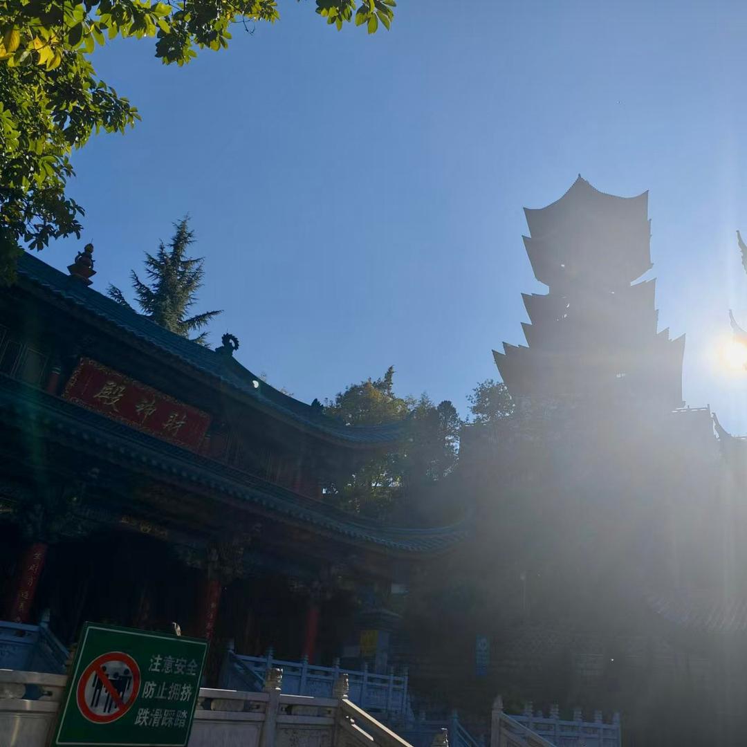 招财鱼-量化交易