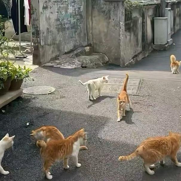 小韦没烦恼☃️