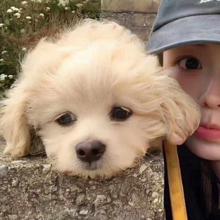 辣条 辣条我爱吃辣条