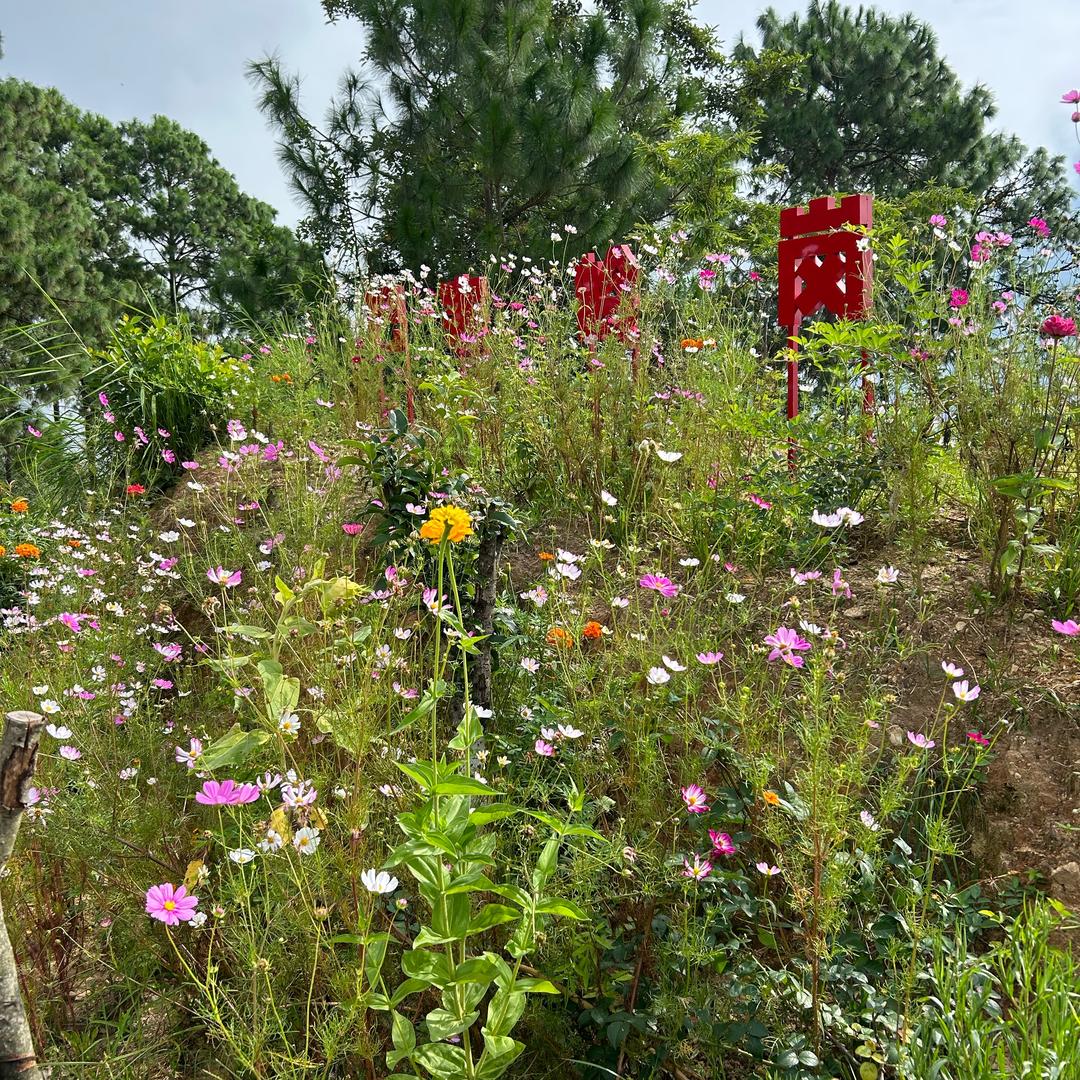 腊叁富（不定时开播）