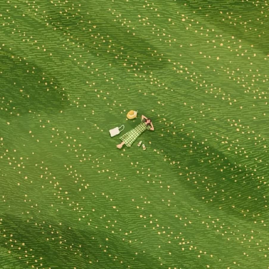 野原向日葵🌻