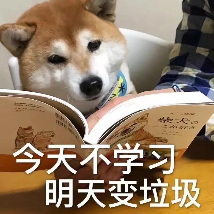 快看起风了