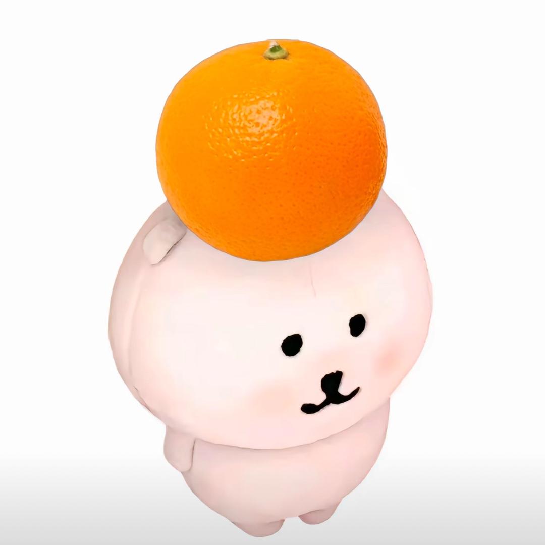 赵赵