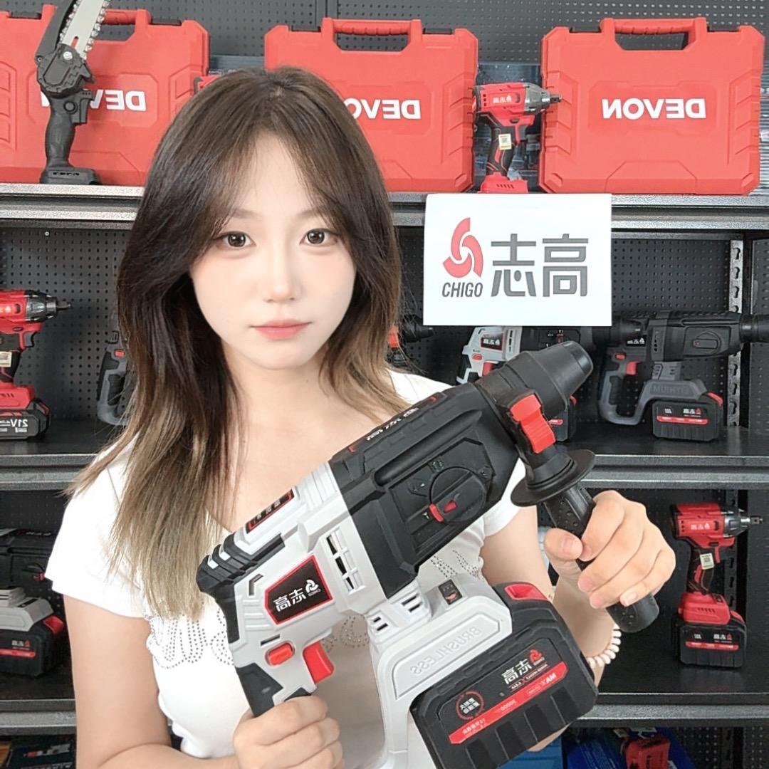 志高锂电工具总仓