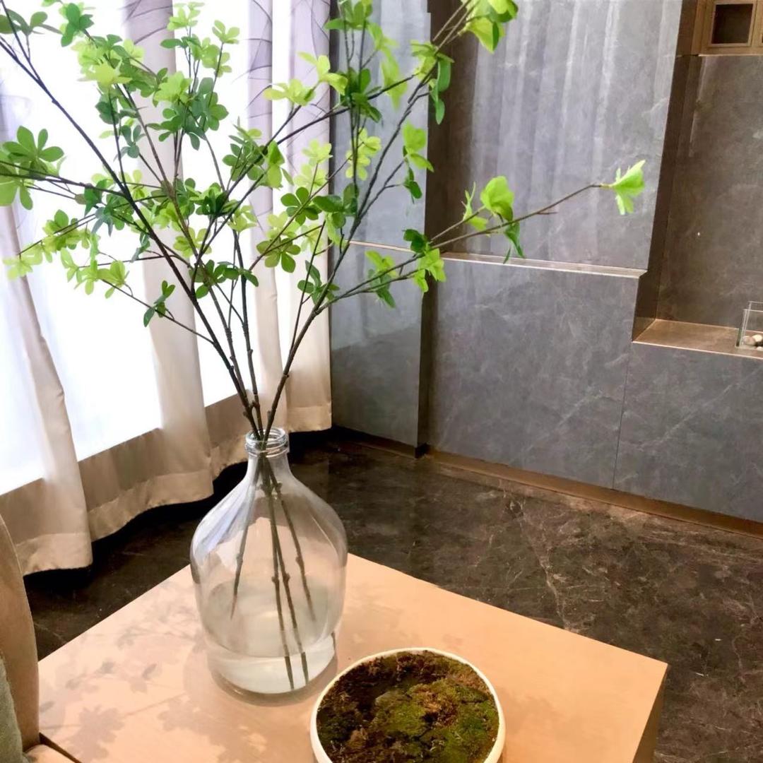 邓爽