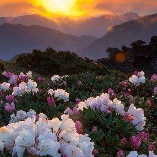 语惠花艺店
