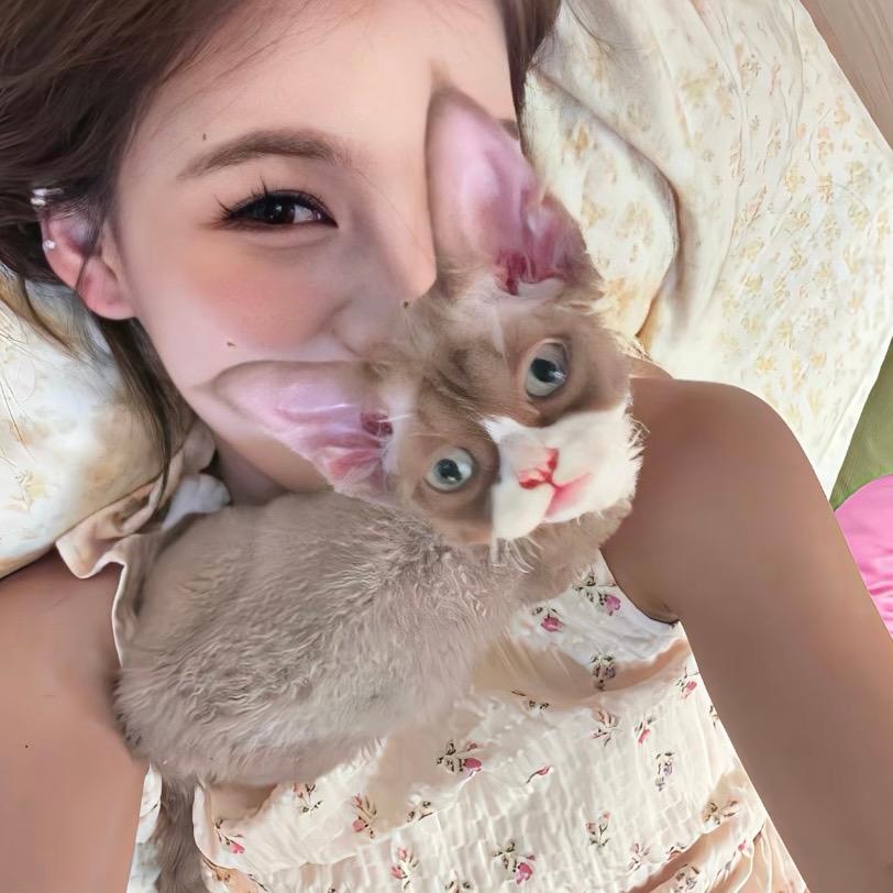 ˃̣̣̥ᯅ˂̣̣̥