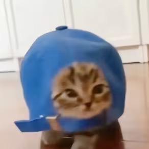 冬天不吃麦旋风