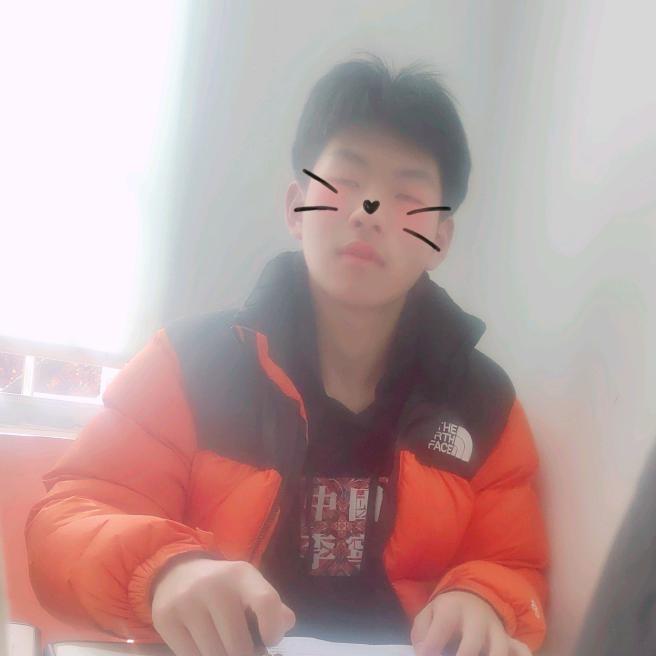 二次元小登