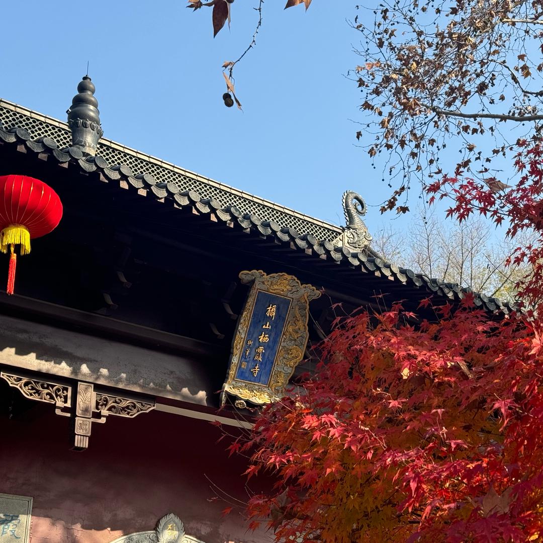 南京美厨宝（张少华）