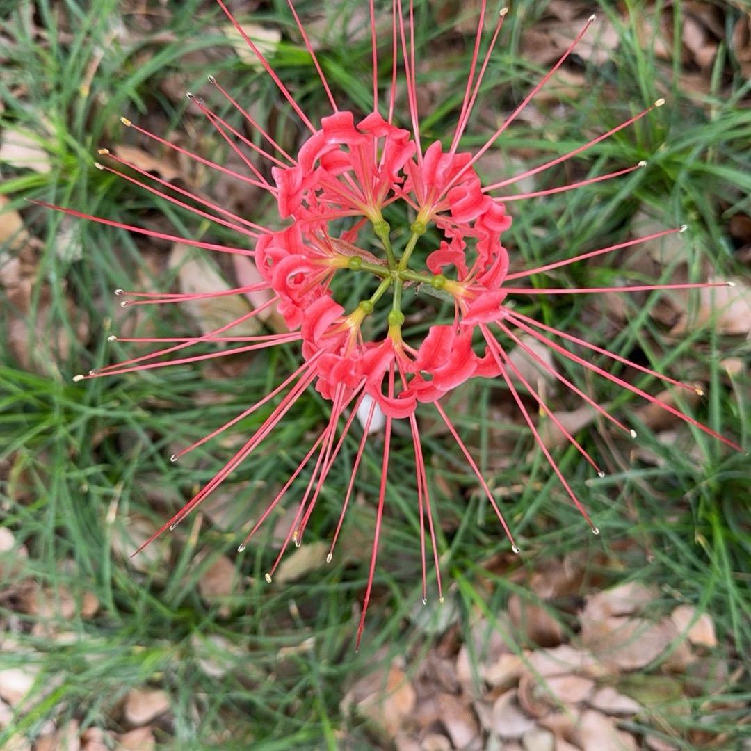 不在联系