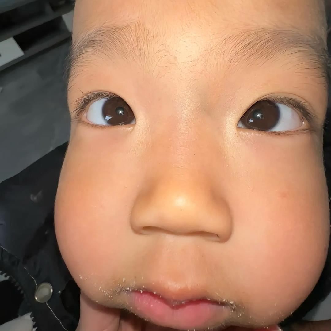 不吃芹菜