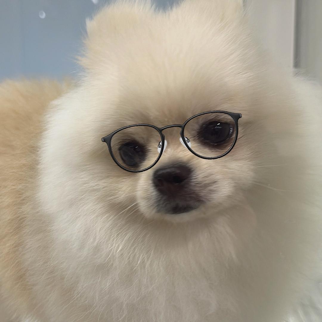 🌞顺顺发🦊