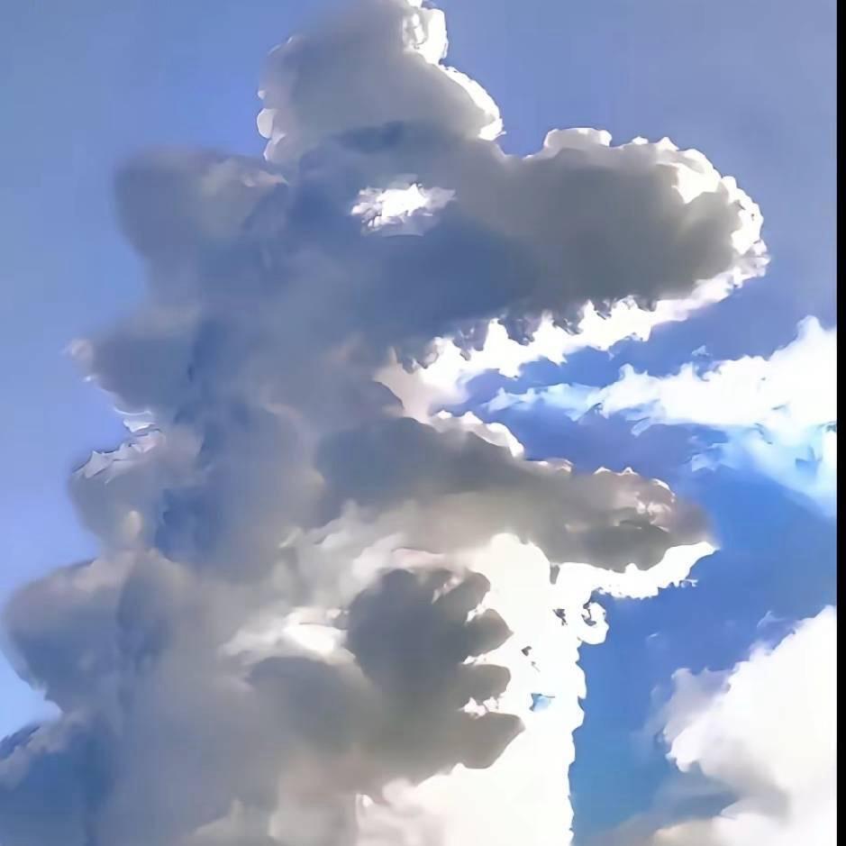 吃饱了（三角洲）