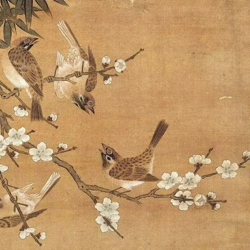 宋你上青云