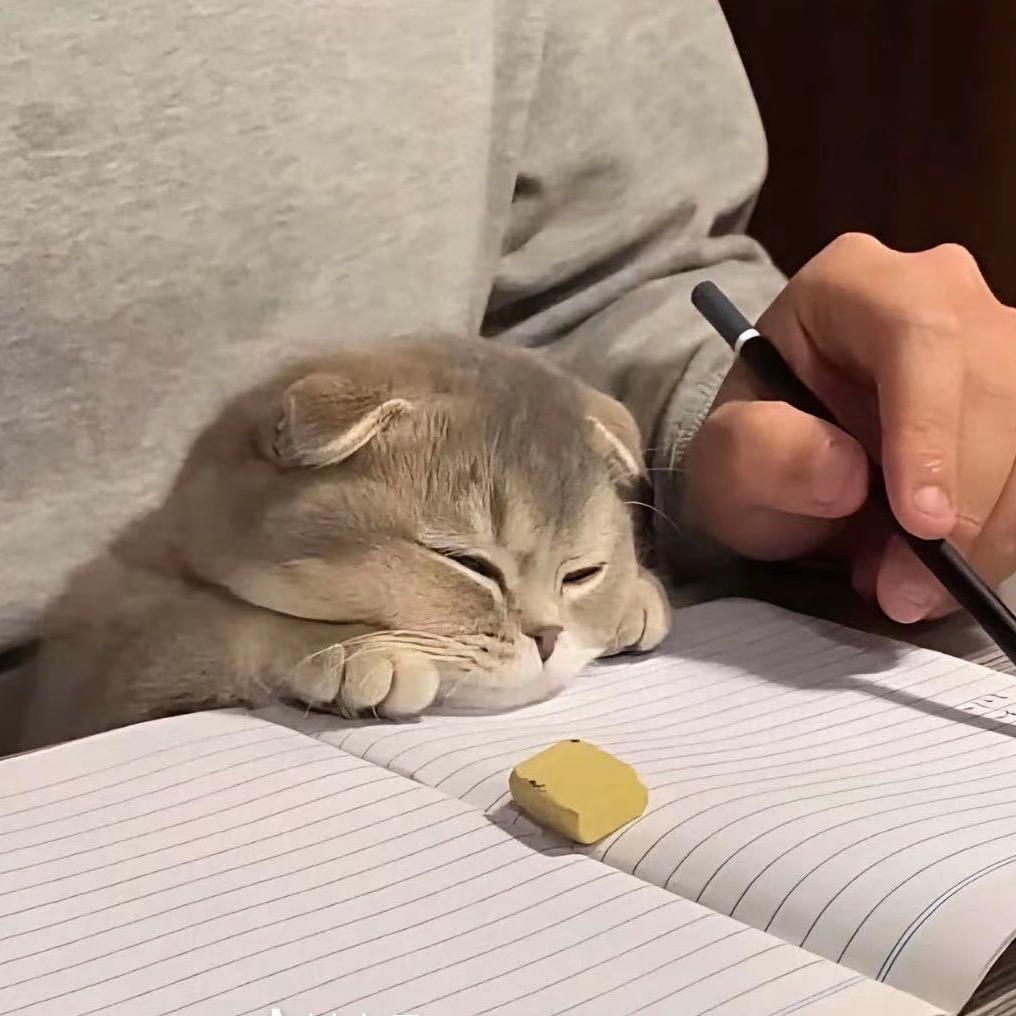 愿来日念往昔