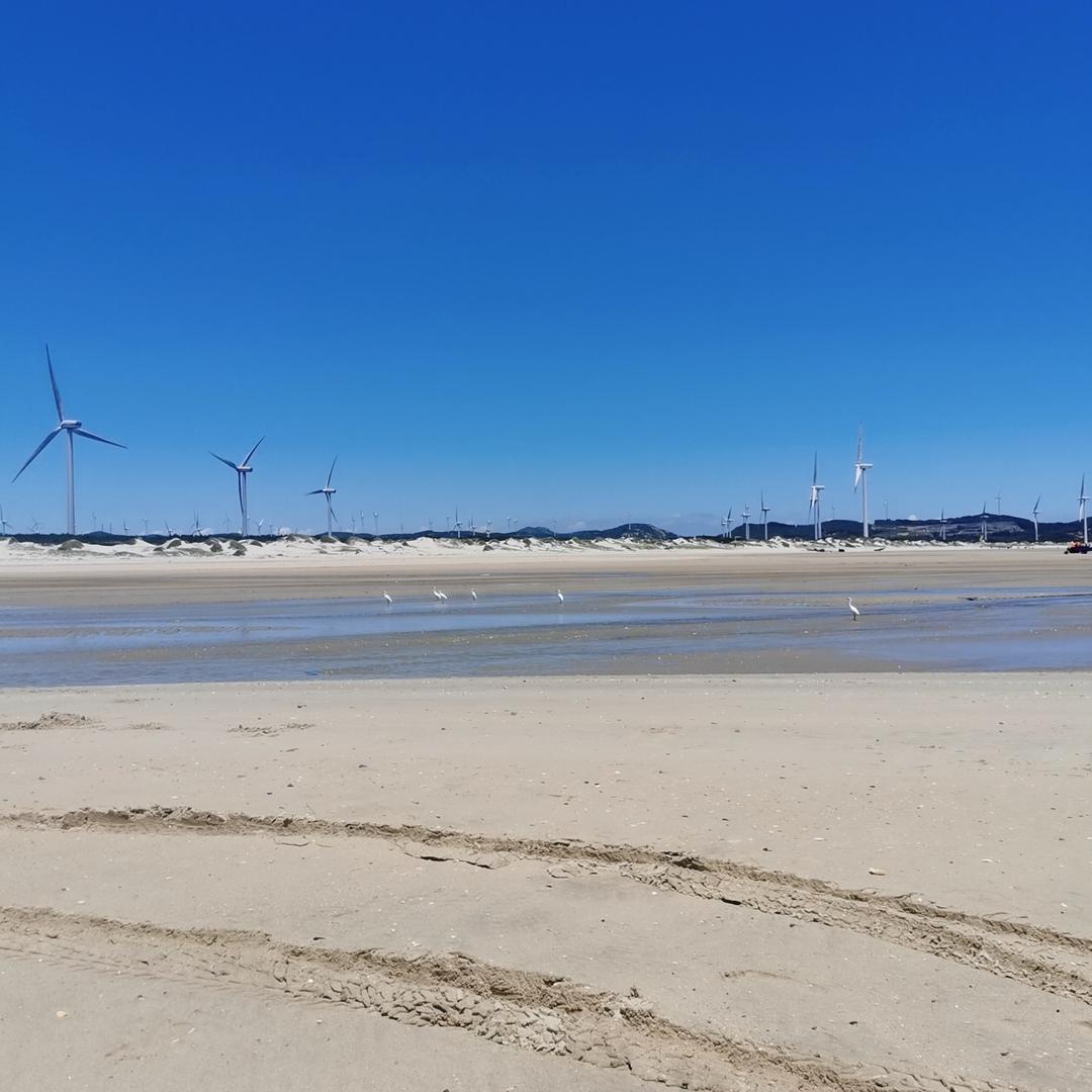 青禾木梳