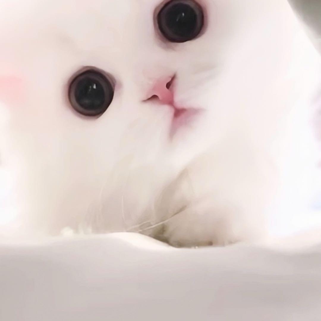 yoon