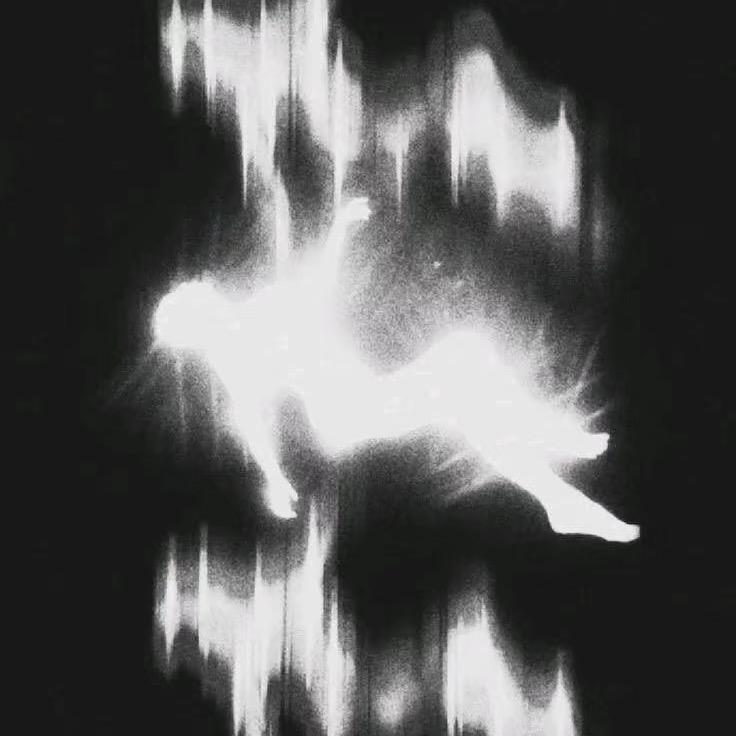 坠 ᴰʳⁱ ᵖ
