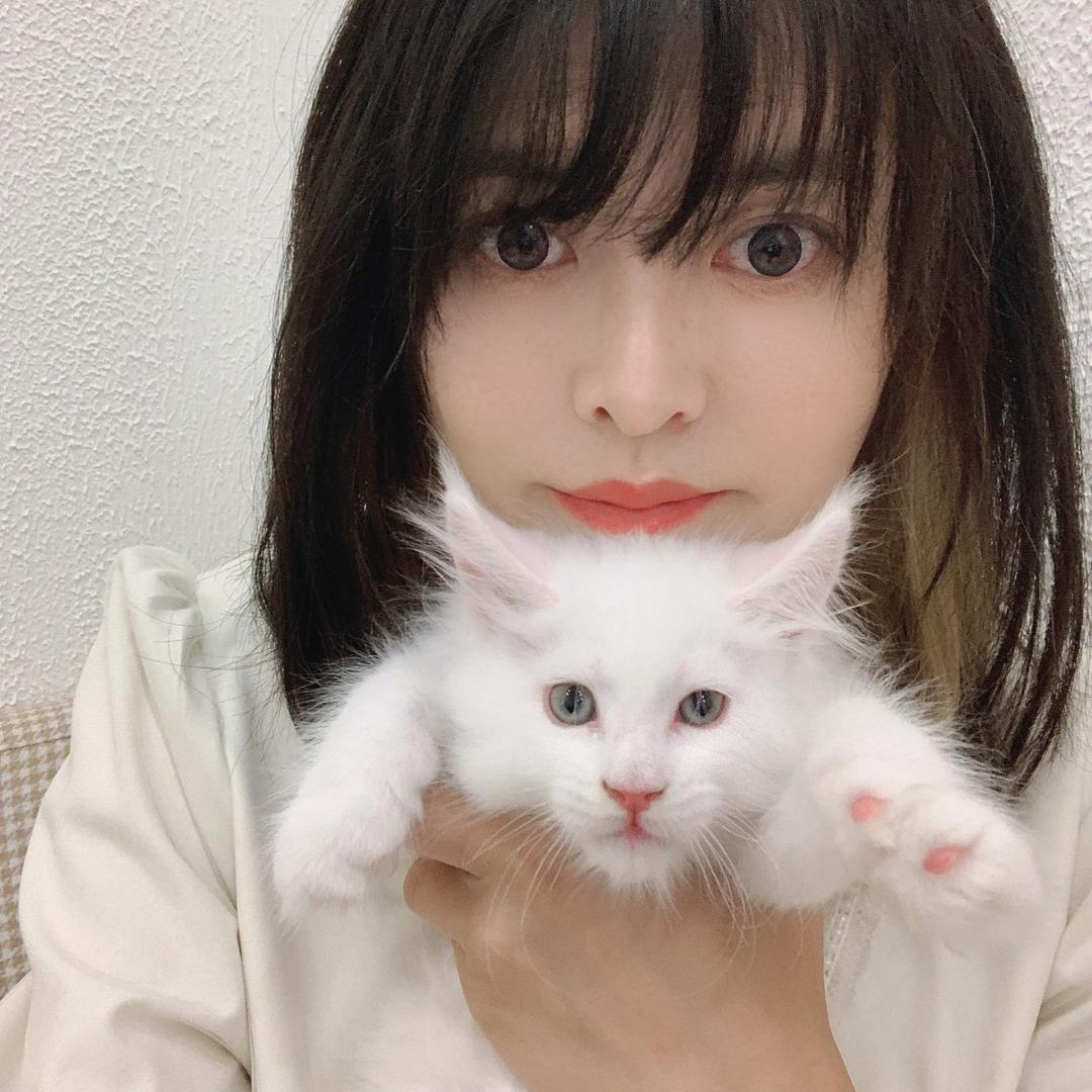 猫姐遥遥酱🐈‍⬛🌸