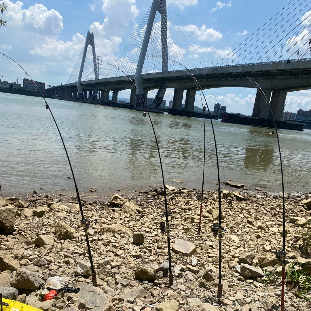 钓鱼🎣兄弟