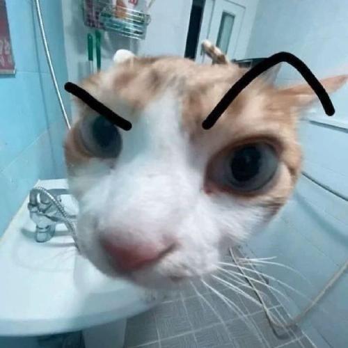 布丁333