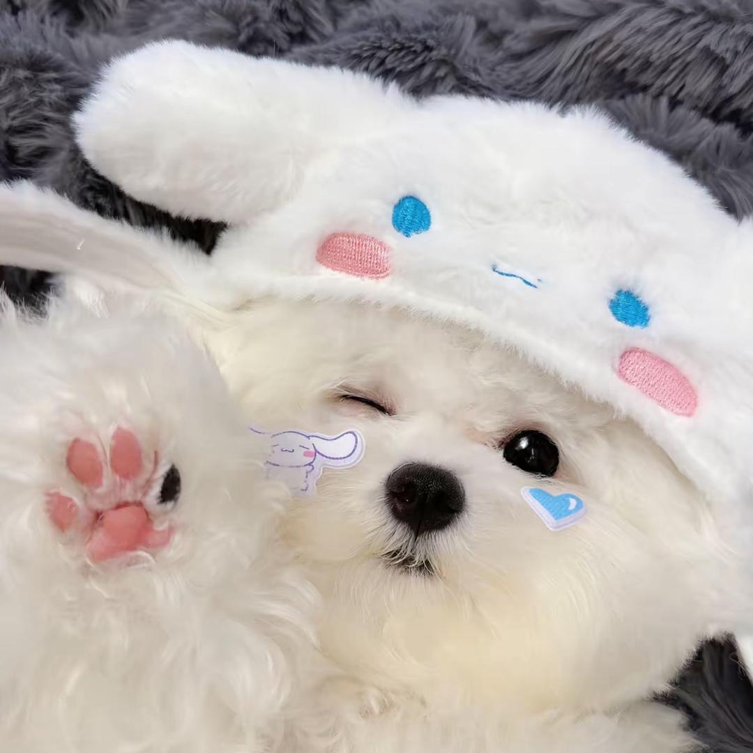 睡个好觉吧~