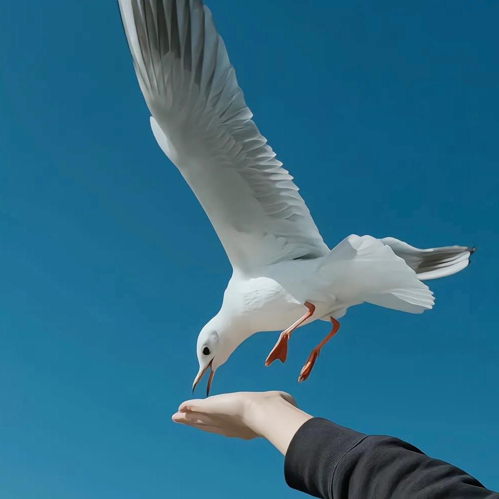 可可壁纸