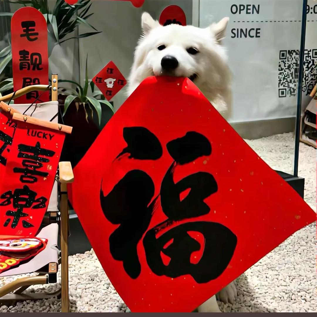 哆多多