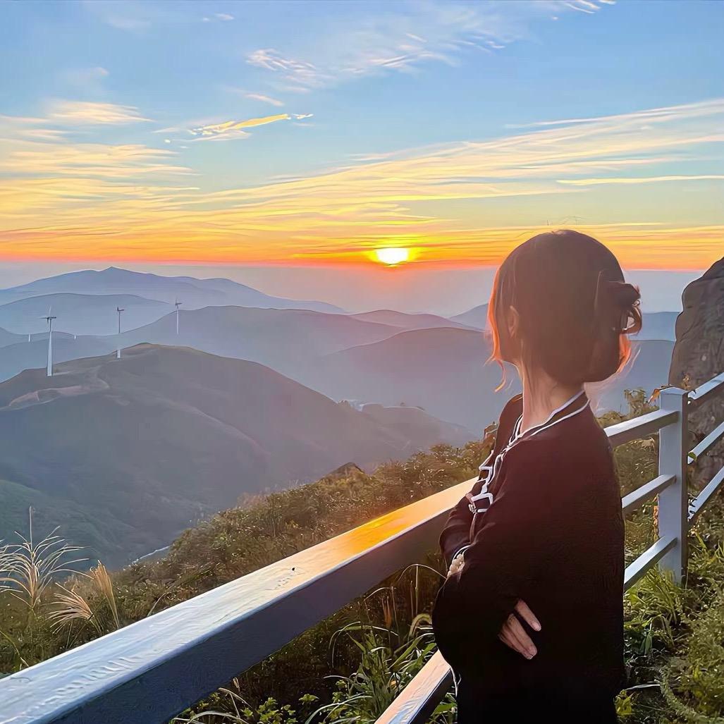 向日葵 🌻
