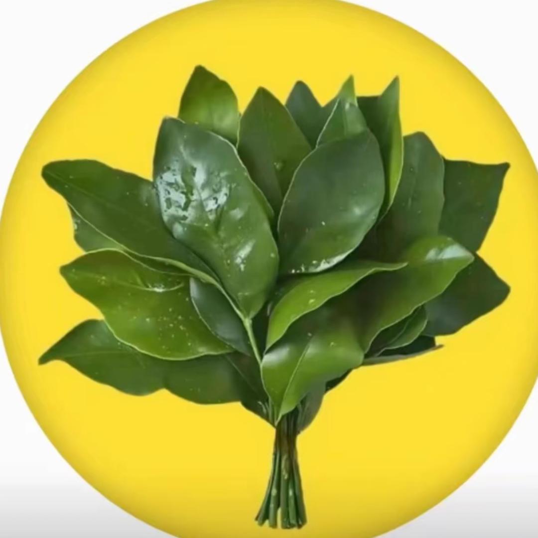 卖茶叶的王老板天天发大财