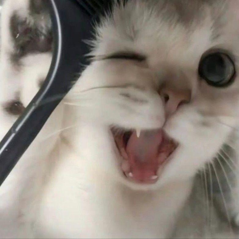 炭烤鱼丸