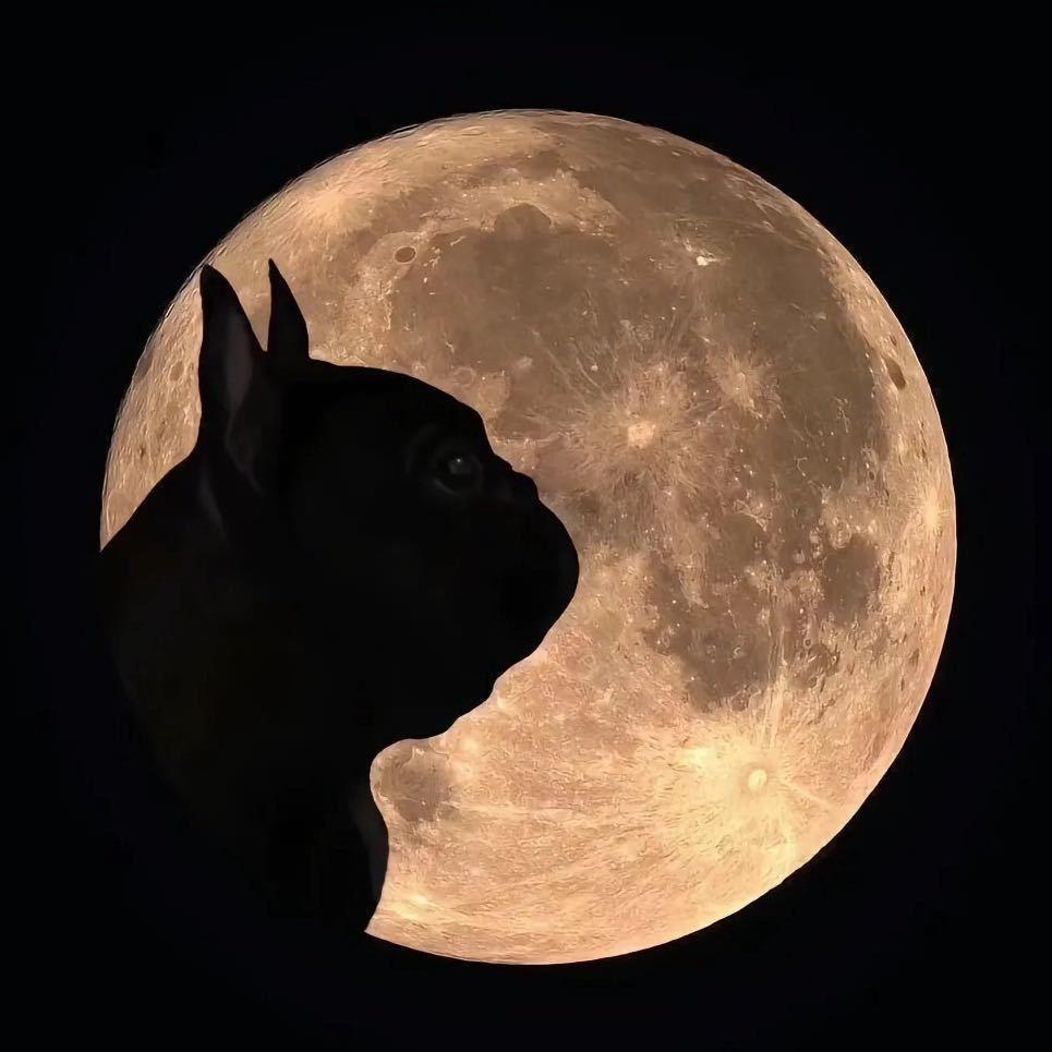 🍃ℨℳªⁿ   ོ