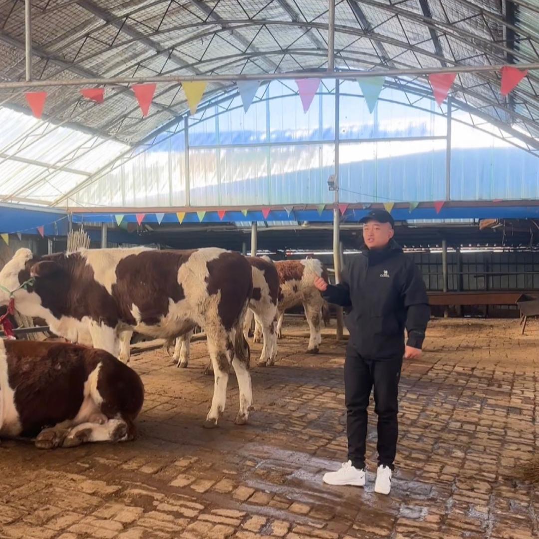 吉林省兴博牧业（刘）