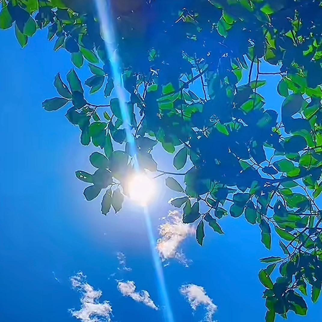 烟火尘埃落地