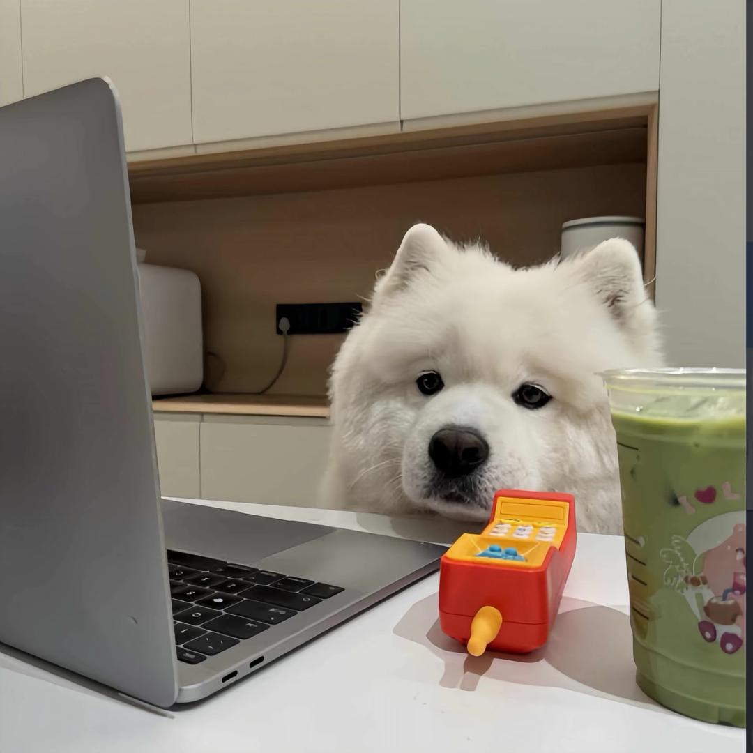 李知恩.
