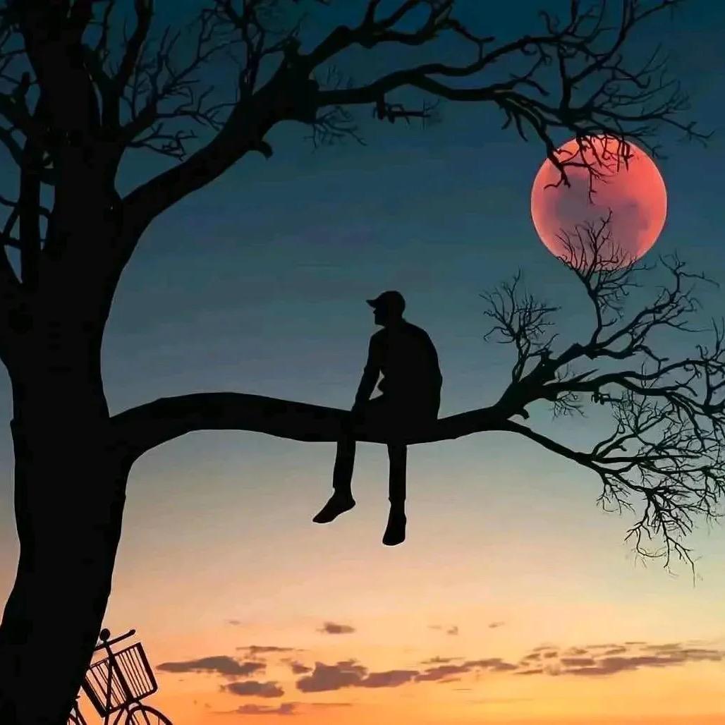 心事给予北风眠