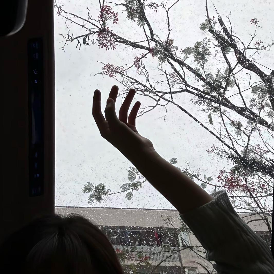 韩纯