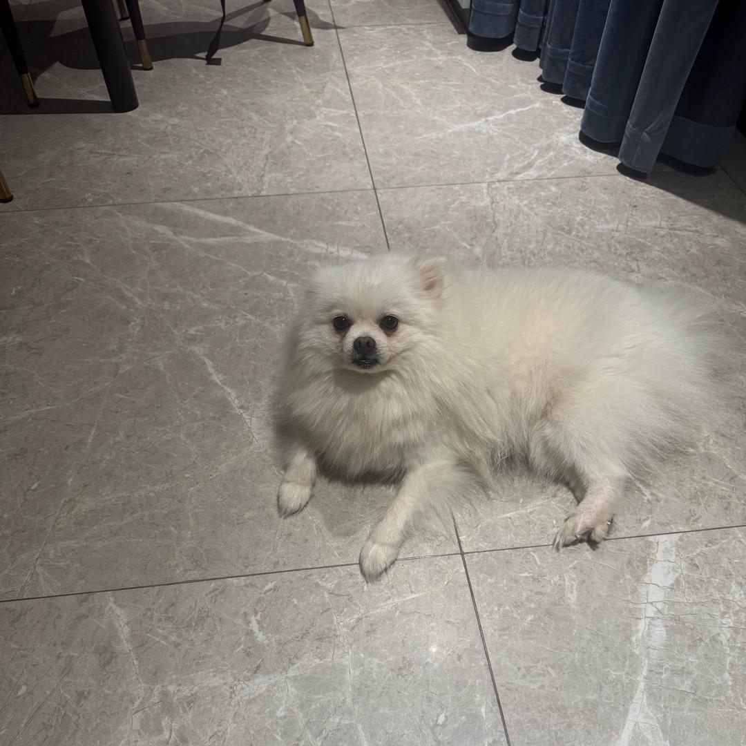 难得糊涂。。。