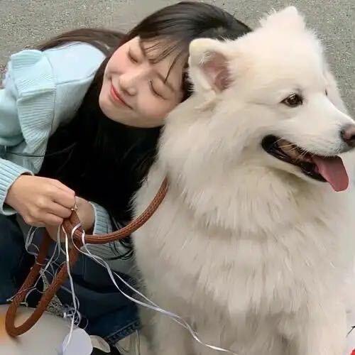 叶子 🍃…