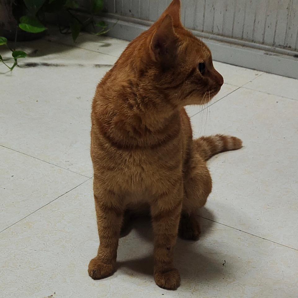 伟  ♥  伟