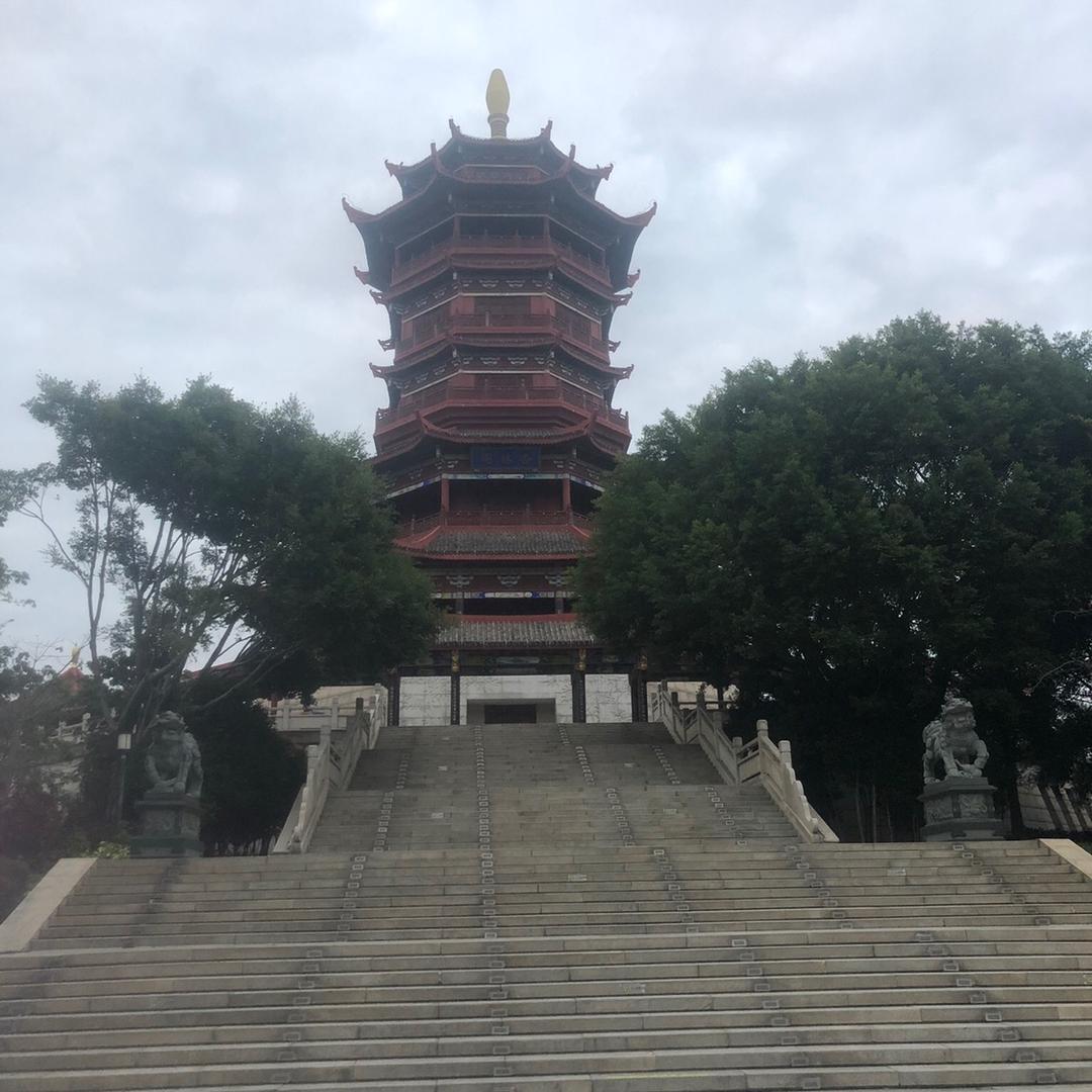 唯一一《商品在橱窗》