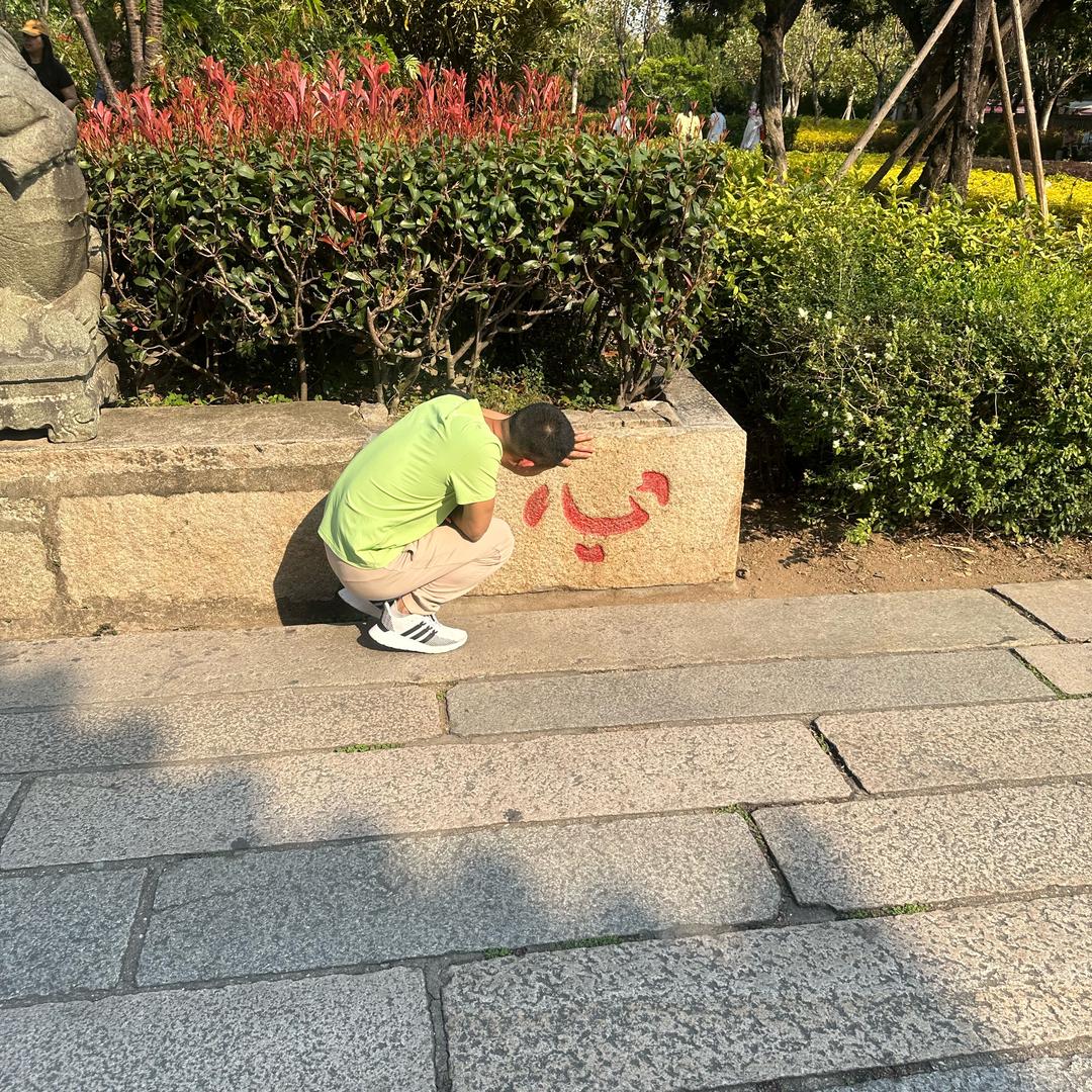 陈子非鱼