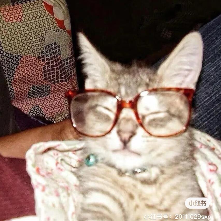 WatmelonaitS（见过王一博版）