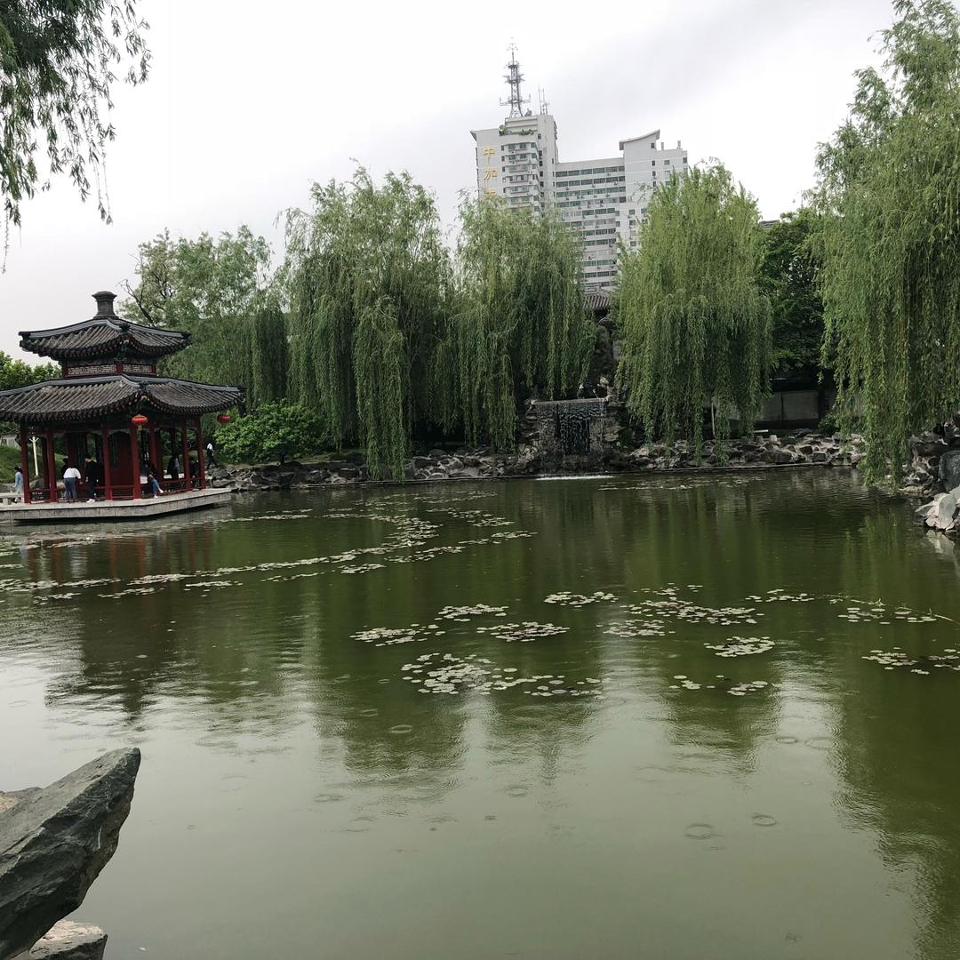 思念（欣儿）