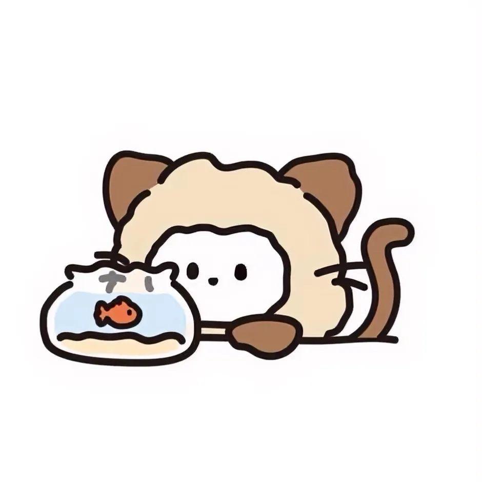 ……